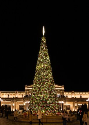 Новый Херсонес, Центральная ёлка 